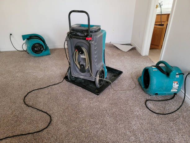 Best Water damage restoration services  in Rice, TX