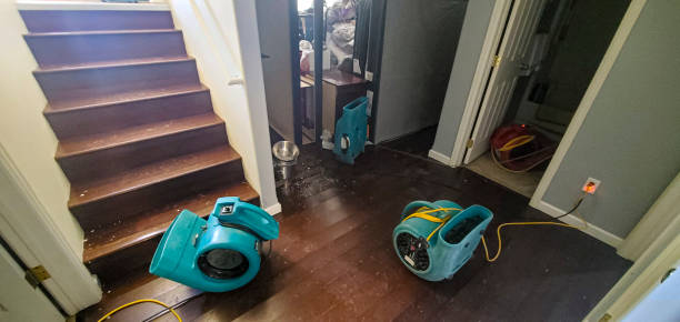 Best 24/7 water damage repair  in Rice, TX