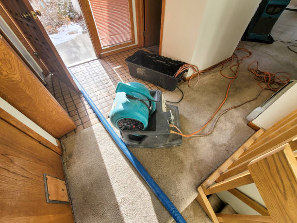 Best Water damage cleanup near me  in Rice, TX