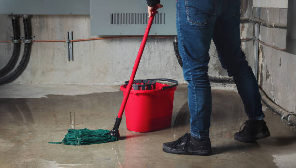 Best Water damage contractors near me  in Rice, TX
