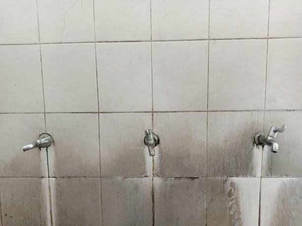 Best Carpet water damage restoration  in Rice, TX